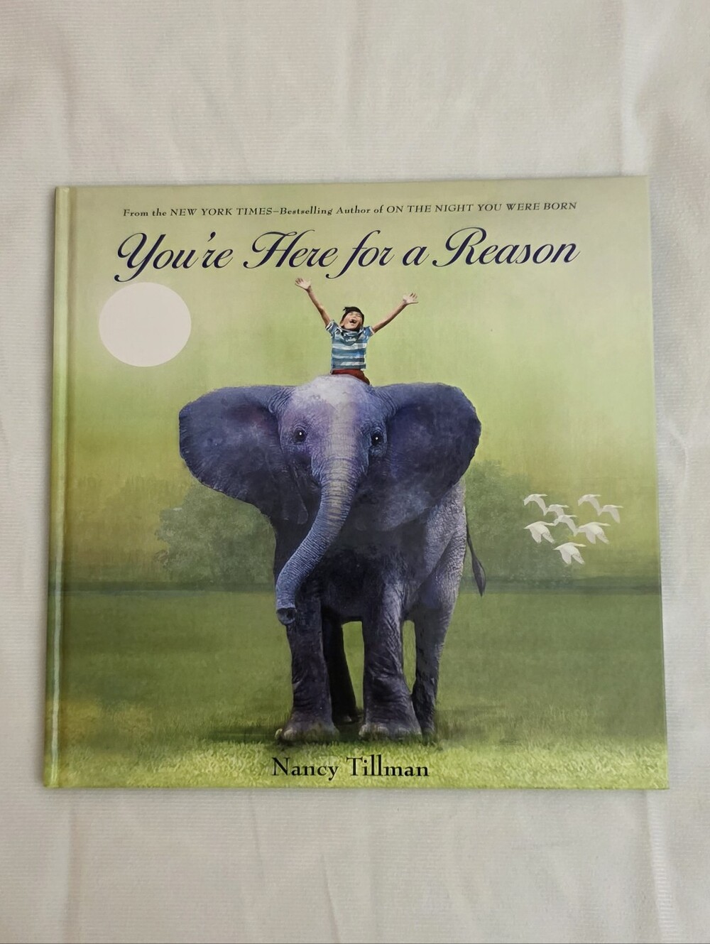 NWOT You're Here for a Reason by Nancy Tillman